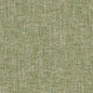CB700-343 Plain & Solid nan Green Charlotte Colors