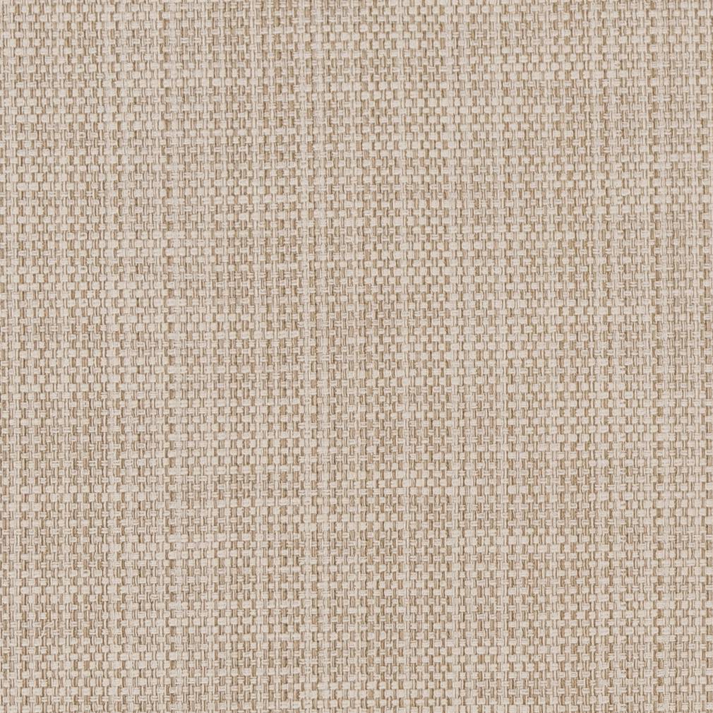 CB700-359 Plain & Solid nan Beige & Taupe Charlotte Colors