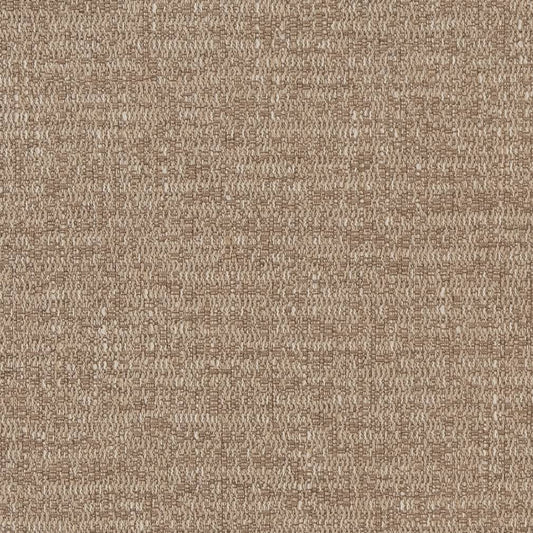 CB700-373 Plain & Solid nan Beige & Taupe Charlotte Colors