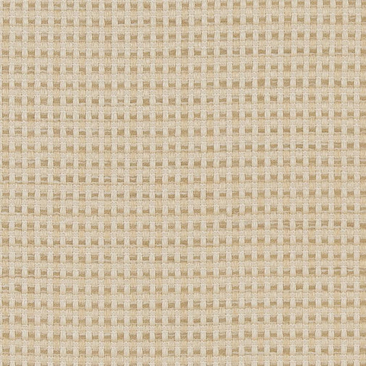 CB700-374 Plain & Solid,Small Scale nan Beige & Taupe Charlotte Colors