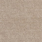 CB700-379 Plain & Solid nan Beige & Taupe Charlotte Colors