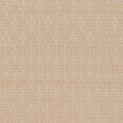 CB700-389 Abstract & Geometric,Small Scale nan Beige & Taupe Charlotte Colors