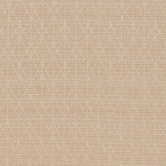 CB700-389 Abstract & Geometric,Small Scale nan Beige & Taupe Charlotte Colors