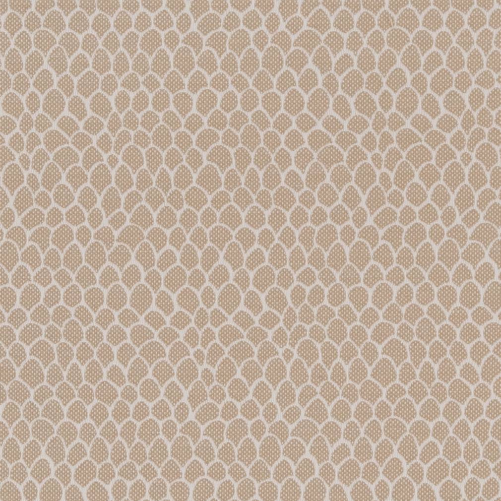 CB700-400 Abstract & Geometric,Small Scale nan Beige & Taupe Charlotte Colors