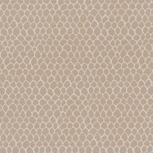 CB700-400 Abstract & Geometric,Small Scale nan Beige & Taupe Charlotte Colors