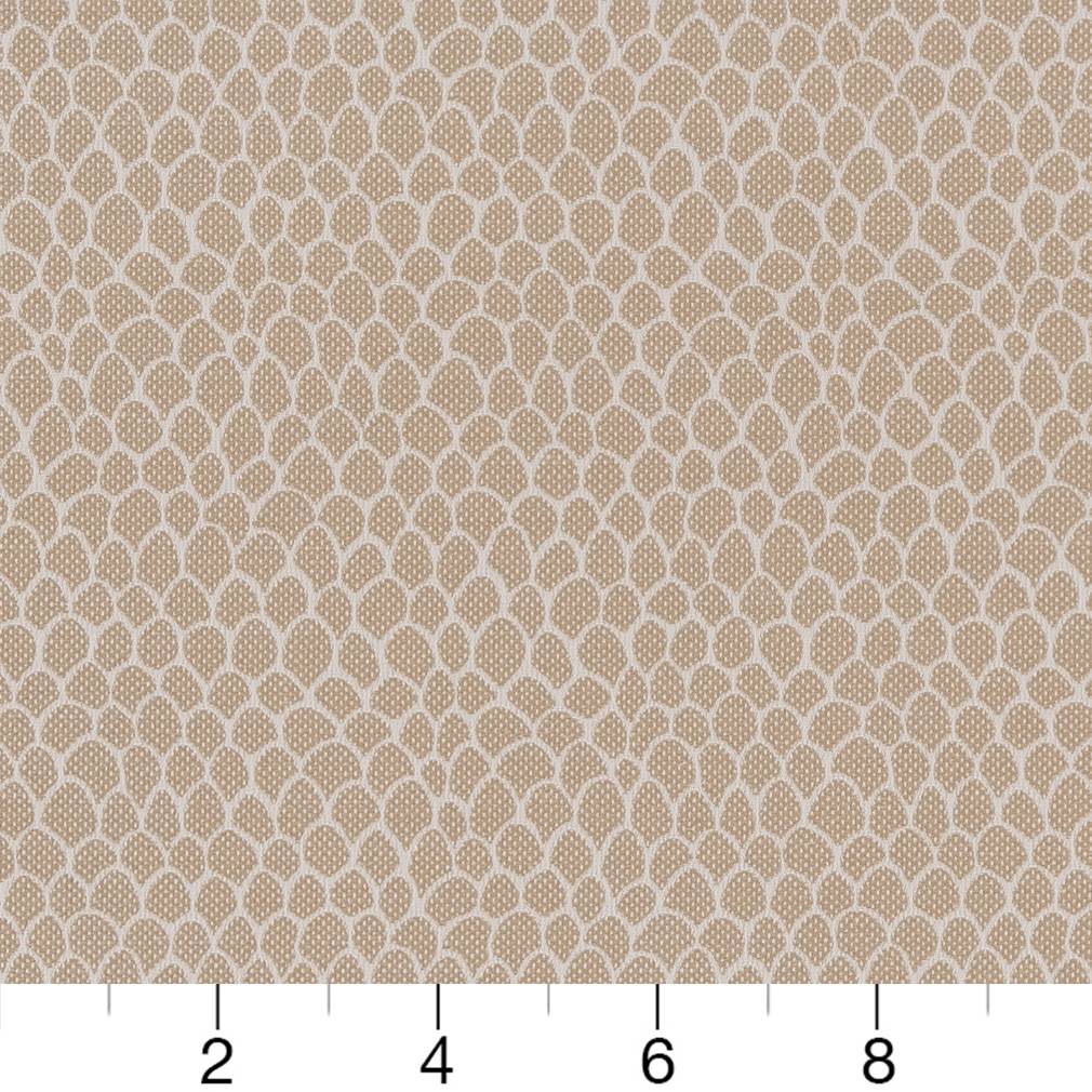 CB700-400 Abstract & Geometric,Small Scale nan Beige & Taupe Charlotte Colors