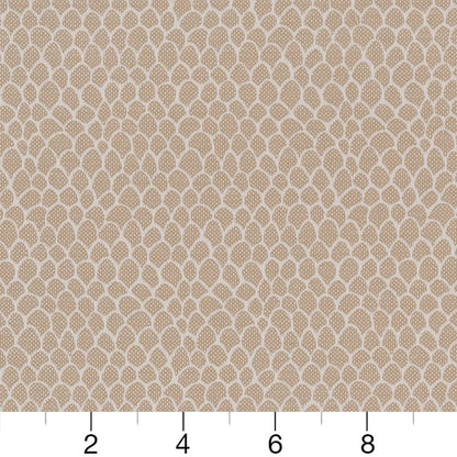 CB700-400 Abstract & Geometric,Small Scale nan Beige & Taupe Charlotte Colors