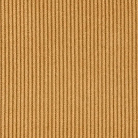 CB700-436 Plain & Solid nan Gold & Yellow Charlotte Colors