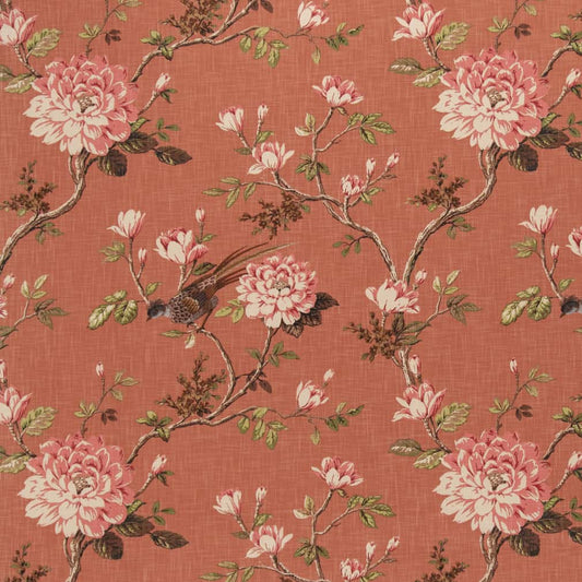 CB700-462 Floral nan Coral & Peach Charlotte Colors