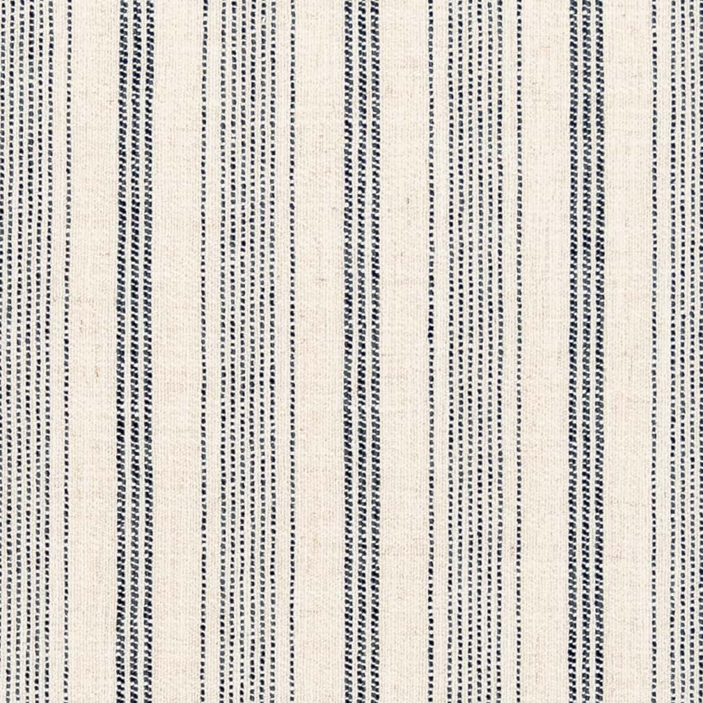 CB700-479 Stripe nan Blue Charlotte Colors