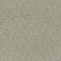 CB700-494 Plain & Solid nan Green Charlotte Colors