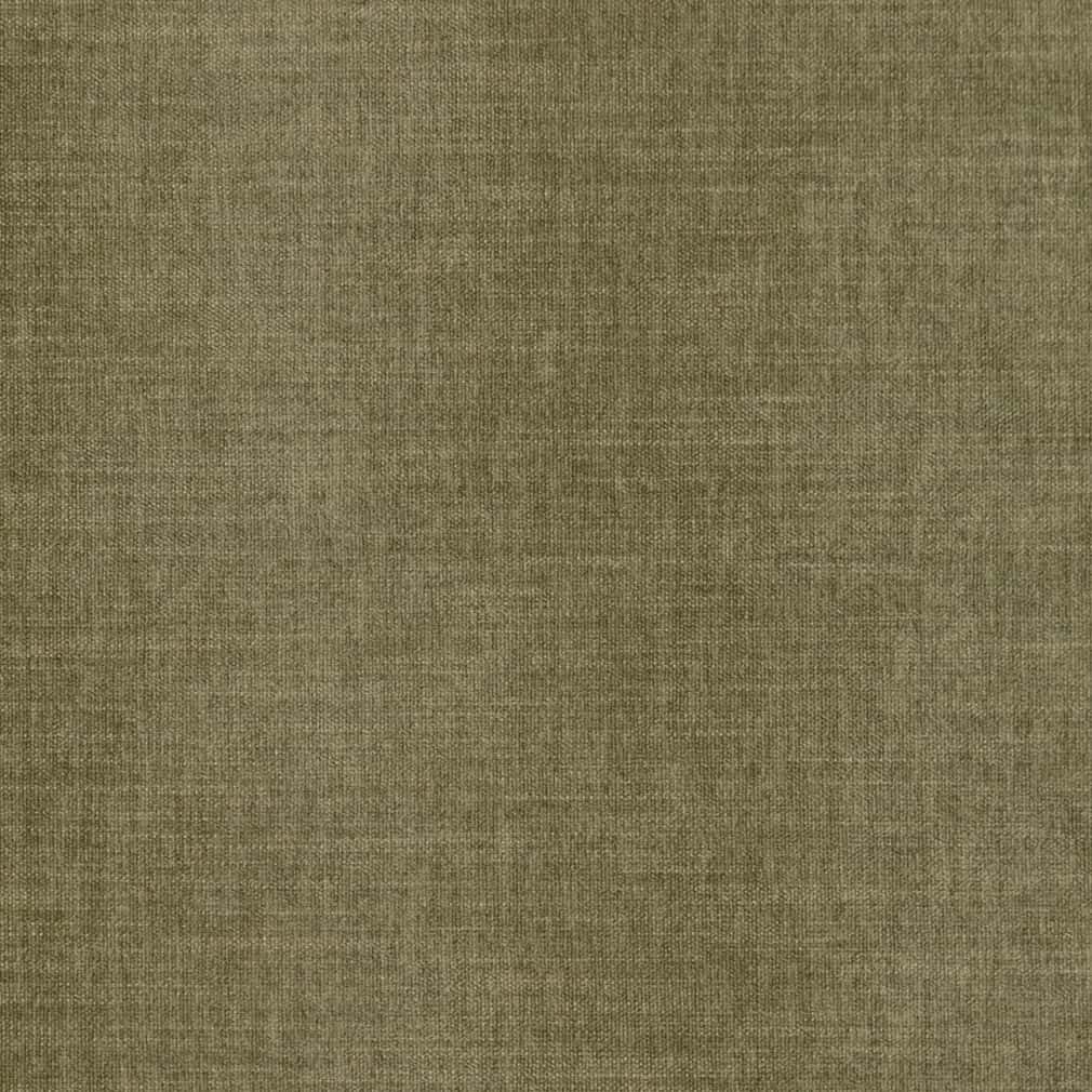 CB700-496 Plain & Solid nan Green Charlotte Colors