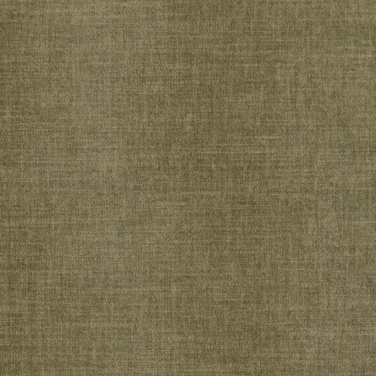 CB700-496 Plain & Solid nan Green Charlotte Colors