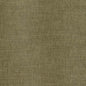 CB700-496 Plain & Solid nan Green Charlotte Colors