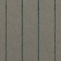 CB700-500 Stripe nan Green Charlotte Colors