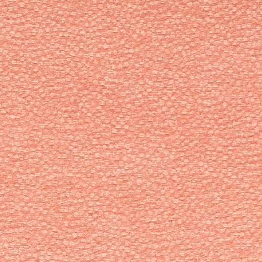 CB700-611 Plain & Solid,Small Scale nan Coral & Peach,Pink Charlotte Fabrics