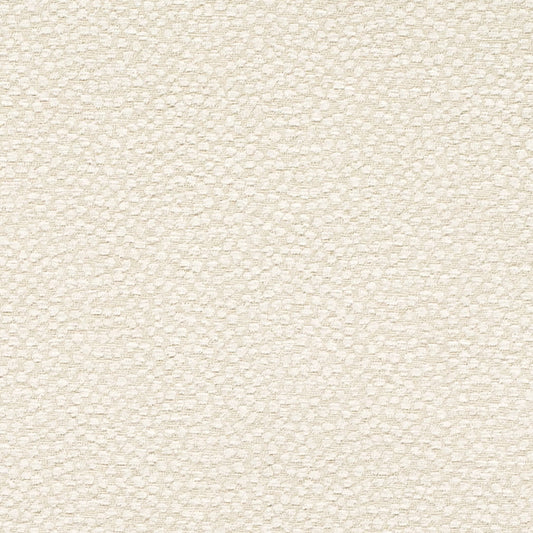 CB700-612 Abstract & Geometric,Animal Print nan Beige & Taupe,White & Ivory Charlotte Fabrics