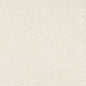 CB700-612 Abstract & Geometric,Animal Print nan Beige & Taupe,White & Ivory Charlotte Fabrics