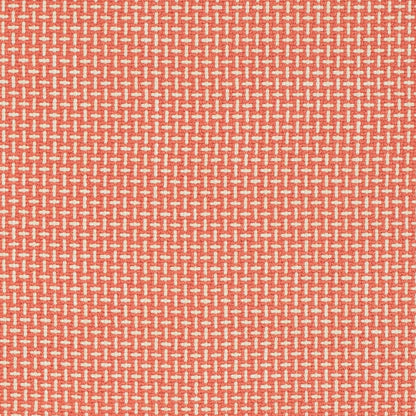 CB700-623 Small Scale nan Coral & Peach,Pink Charlotte Fabrics