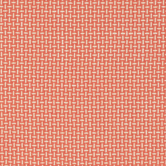 CB700-623 Small Scale nan Coral & Peach,Pink Charlotte Fabrics
