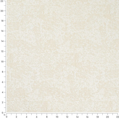 CB700-636 Abstract & Geometric nan White & Ivory Charlotte Fabrics