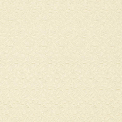 CB800-03 Abstract & Geometric,Small Scale nan White & Ivory Charlotte Colors