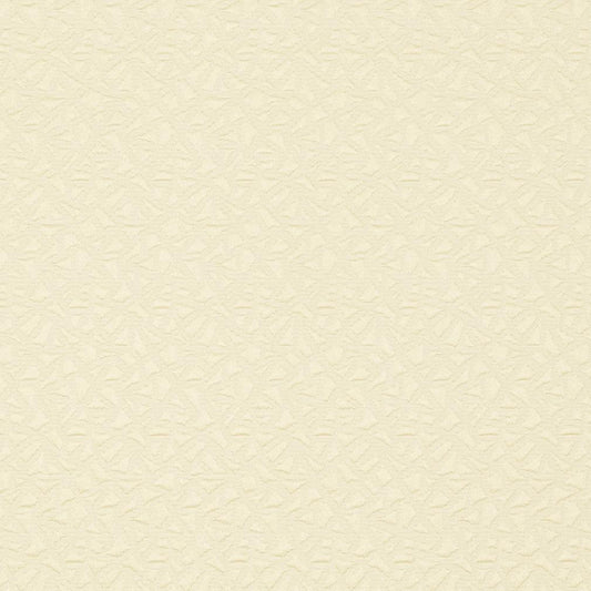 CB800-03 Abstract & Geometric,Small Scale nan White & Ivory Charlotte Colors