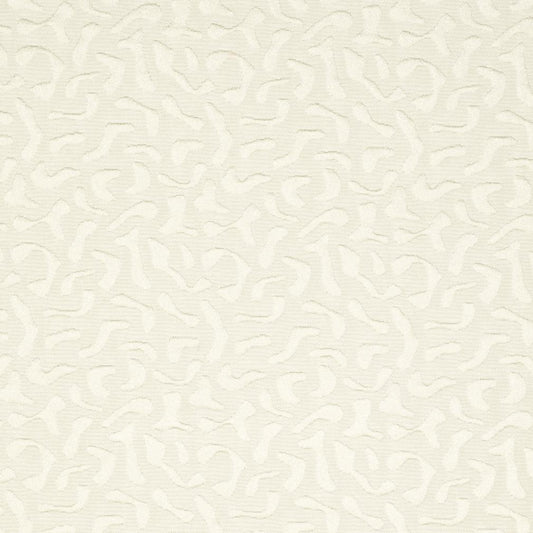 CB800-08 Abstract & Geometric nan White & Ivory Charlotte Colors