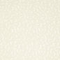CB800-08 Abstract & Geometric nan White & Ivory Charlotte Colors