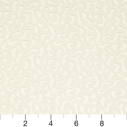 CB800-08 Abstract & Geometric nan White & Ivory Charlotte Colors