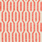 CB800-126 Abstract & Geometric nan Coral & Peach Charlotte Colors
