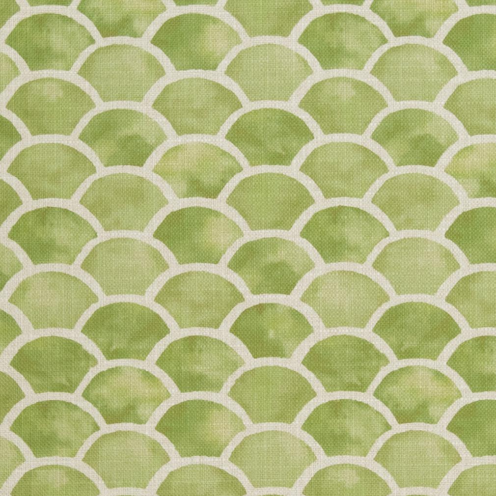 CB800-139 Abstract & Geometric nan Green Charlotte Colors