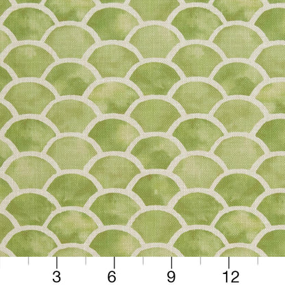 CB800-139 Abstract & Geometric nan Green Charlotte Colors