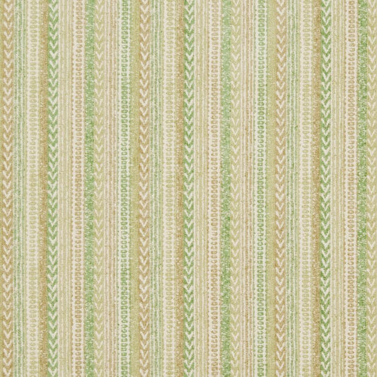 CB800-173 Stripe nan Green Charlotte Colors