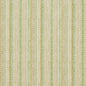 CB800-173 Stripe nan Green Charlotte Colors