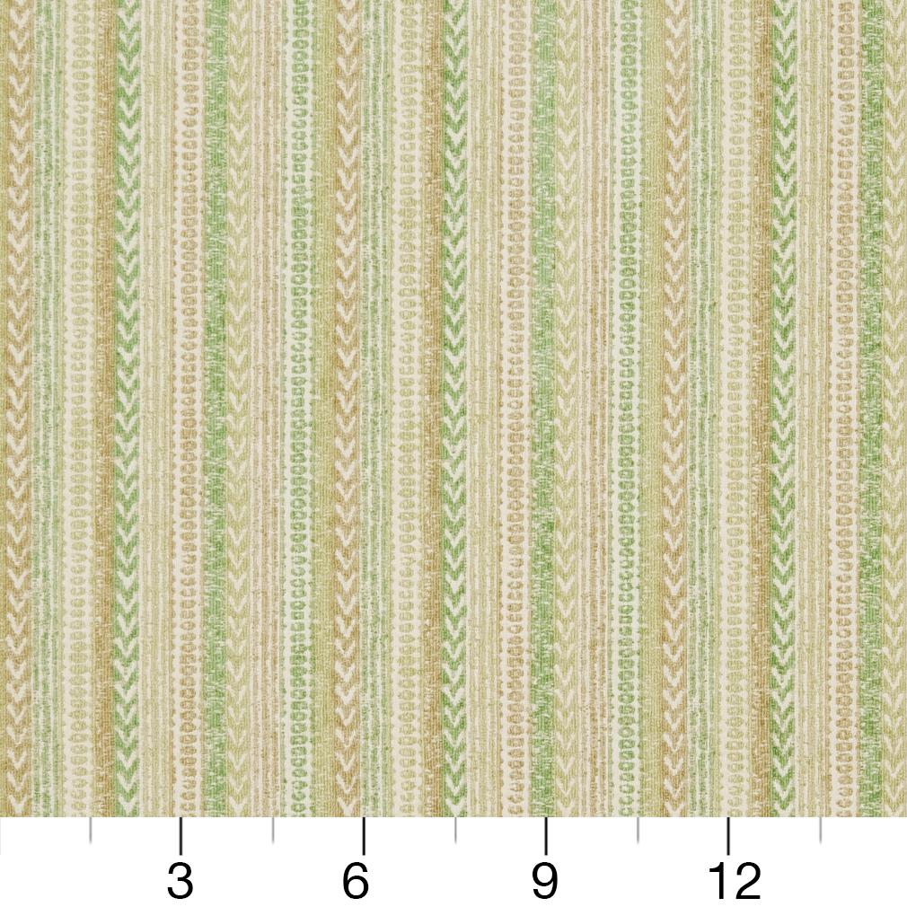 CB800-173 Stripe nan Green Charlotte Colors