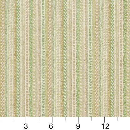 CB800-173 Stripe nan Green Charlotte Colors