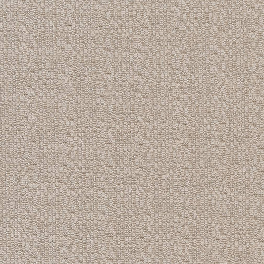 CB800-208 Plain & Solid nan Grey & Silver Charlotte Colors