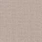 CB800-208 Plain & Solid nan Grey & Silver Charlotte Colors