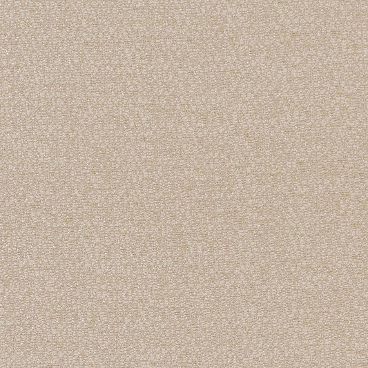 CB800-209 Plain & Solid nan Beige & Taupe Charlotte Colors