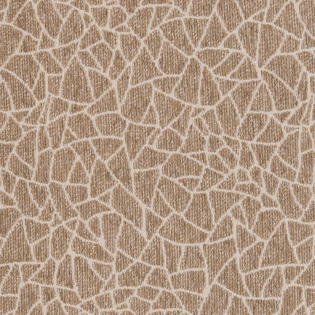 CB800-218 Abstract & Geometric,Animal Print nan Beige & Taupe,Brown Charlotte Colors