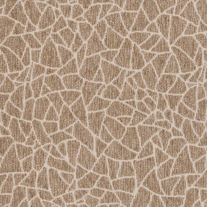 CB800-218 Abstract & Geometric,Animal Print nan Beige & Taupe,Brown Charlotte Colors