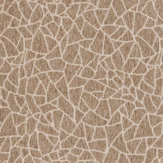 CB800-218 Abstract & Geometric,Animal Print nan Beige & Taupe,Brown Charlotte Colors
