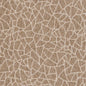 CB800-218 Abstract & Geometric,Animal Print nan Beige & Taupe,Brown Charlotte Colors