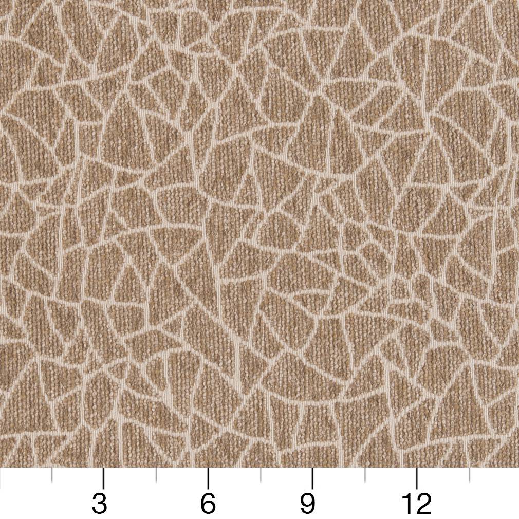 CB800-218 Abstract & Geometric,Animal Print nan Beige & Taupe,Brown Charlotte Colors