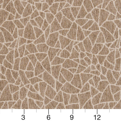 CB800-218 Abstract & Geometric,Animal Print nan Beige & Taupe,Brown Charlotte Colors