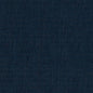 CB800-219 Plain & Solid nan Blue Charlotte Colors