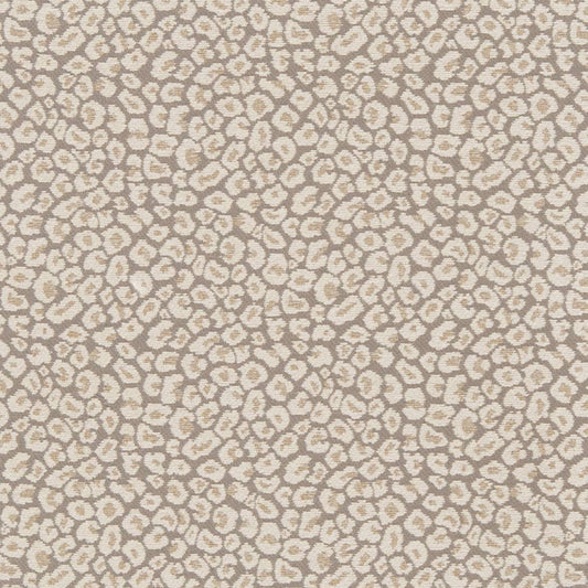 CB800-220 Animal Print nan Beige & Taupe,Grey & Silver Charlotte Colors