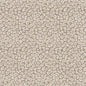 CB800-220 Animal Print nan Beige & Taupe,Grey & Silver Charlotte Colors
