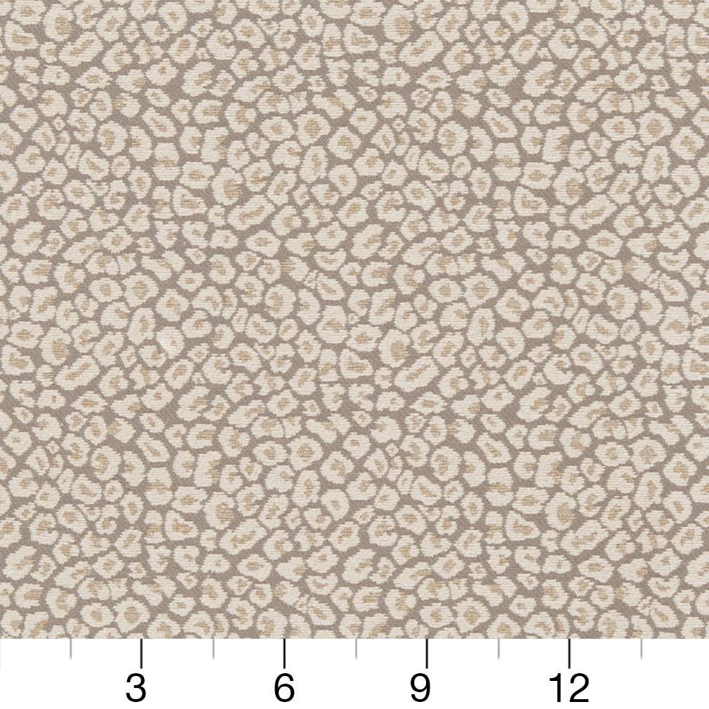 CB800-220 Animal Print nan Beige & Taupe,Grey & Silver Charlotte Colors